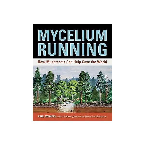 Livro Micellium Running