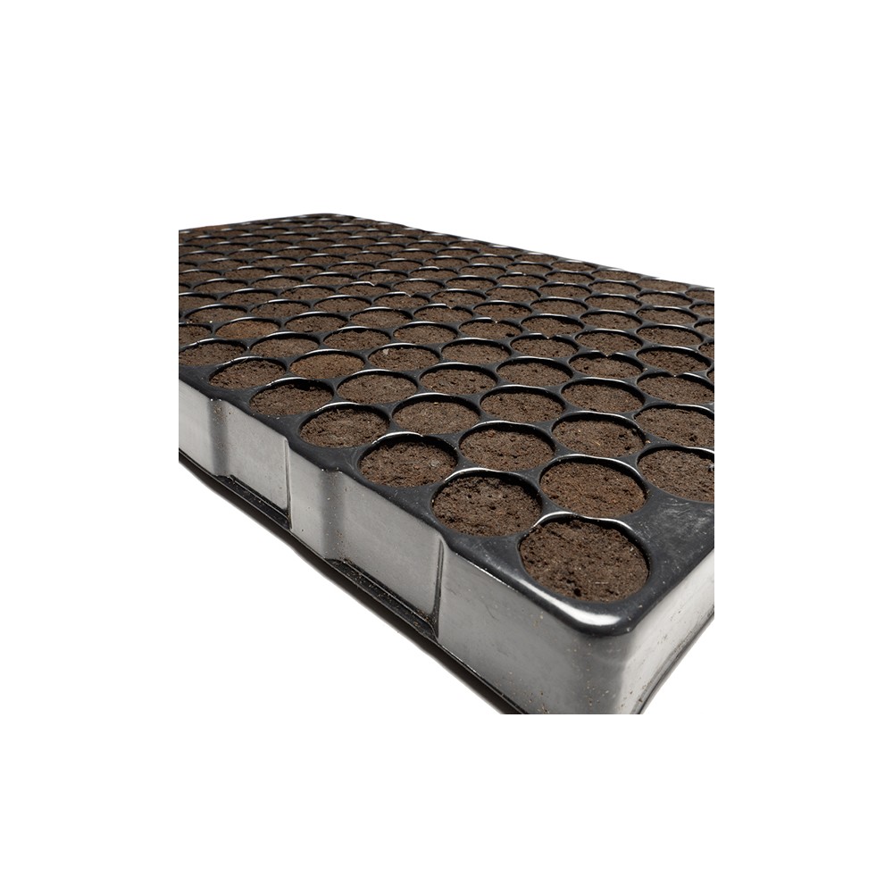 Bandeja Plugin Pro 150 Alvéolos LOJA DE CULTIVO GROWSHOP