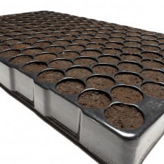 Bandeja Plugin Pro 150 Alvéolos LOJA DE CULTIVO GROWSHOP