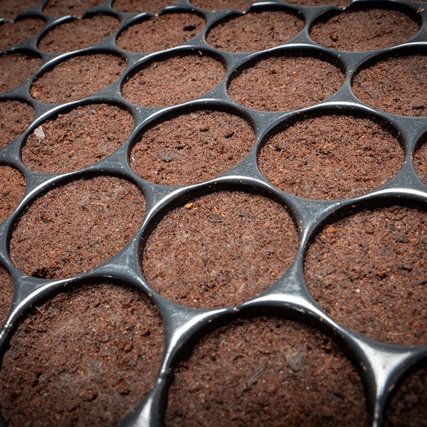 Bandeja Plugin Pro 150 Alvéolos LOJA DE CULTIVO GROWSHOP