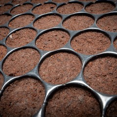 Bandeja Plugin Pro 150 Alvéolos LOJA DE CULTIVO GROWSHOP