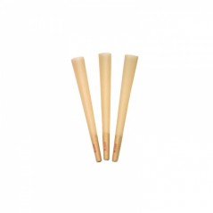 RAW Cones Organico KS headshop growshop parafernalia grow indoor loja de cultivo garden center grow store