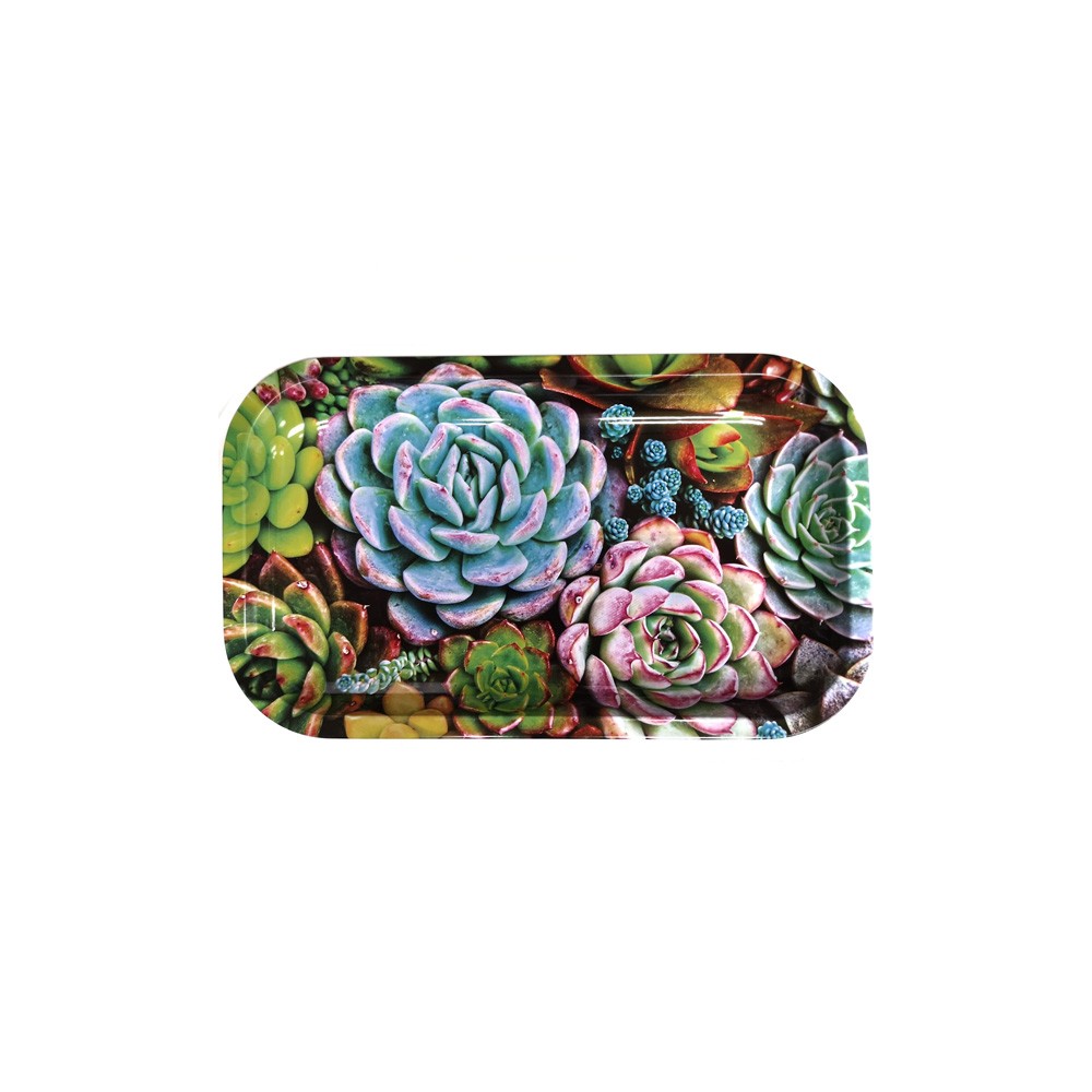 Bandeja de Metal Suculentas 27x16cm METAL TRAY GROWSHOP ONLINE GARDEN CENTER LOJA DE CULTIVO ONLINE