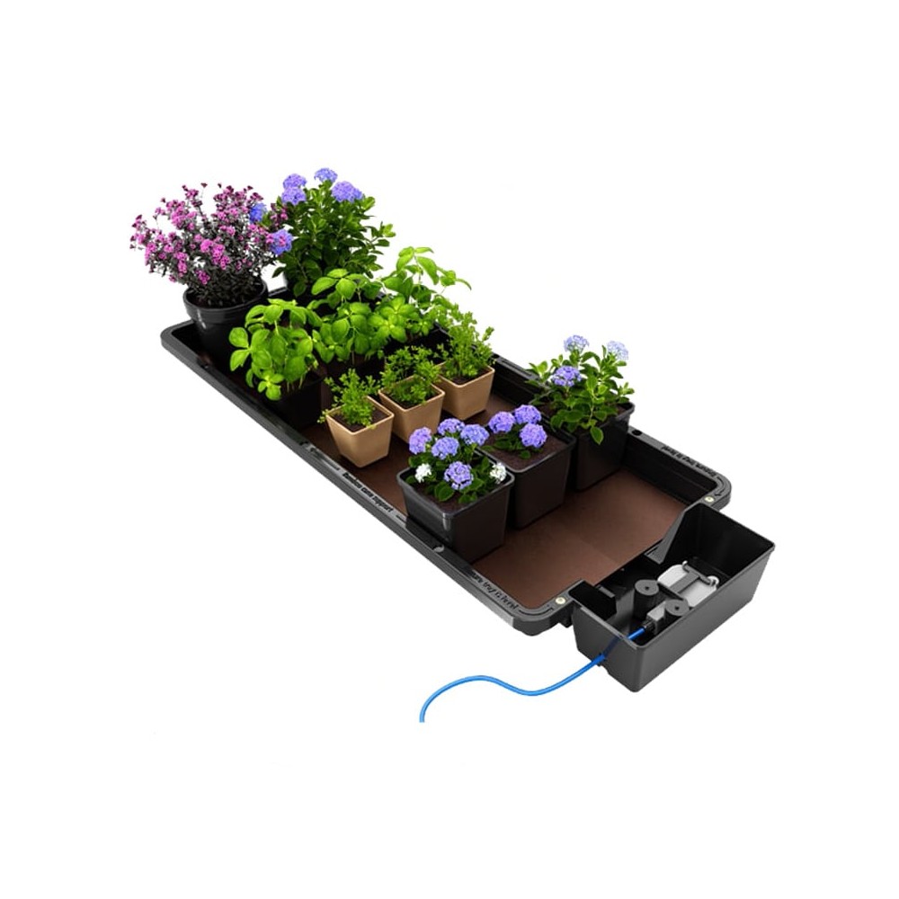 Sistema Tray2grow Autopot growshop online grow indoor hydroponic system