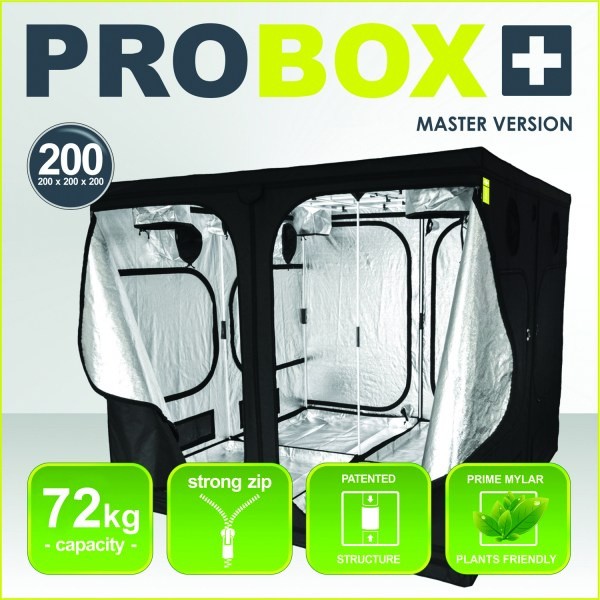 ProBox Master 200